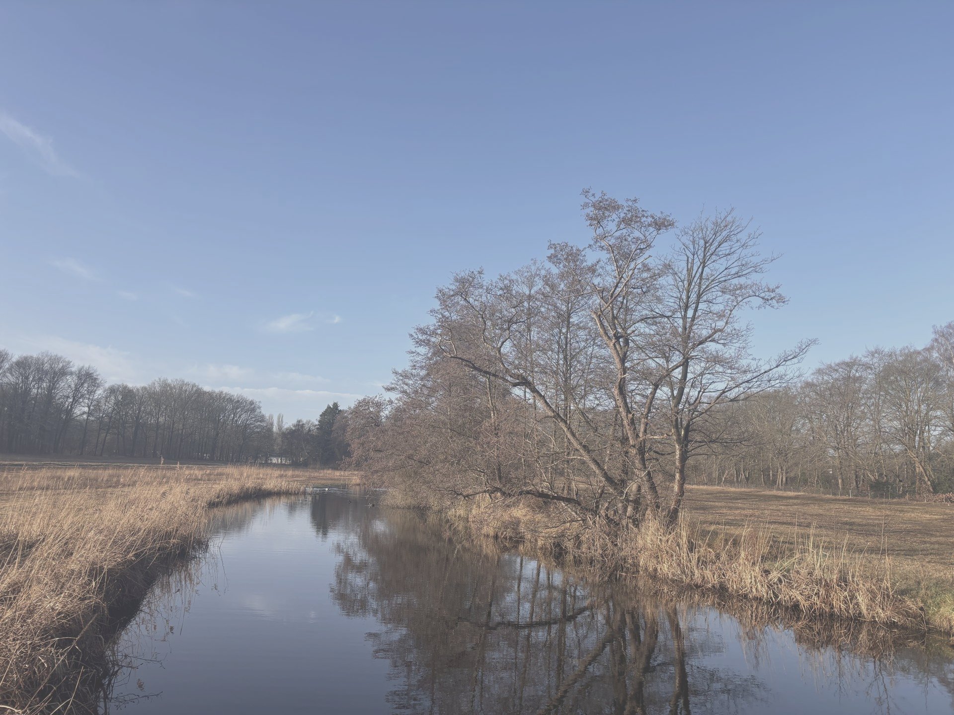 Muziek en woorden