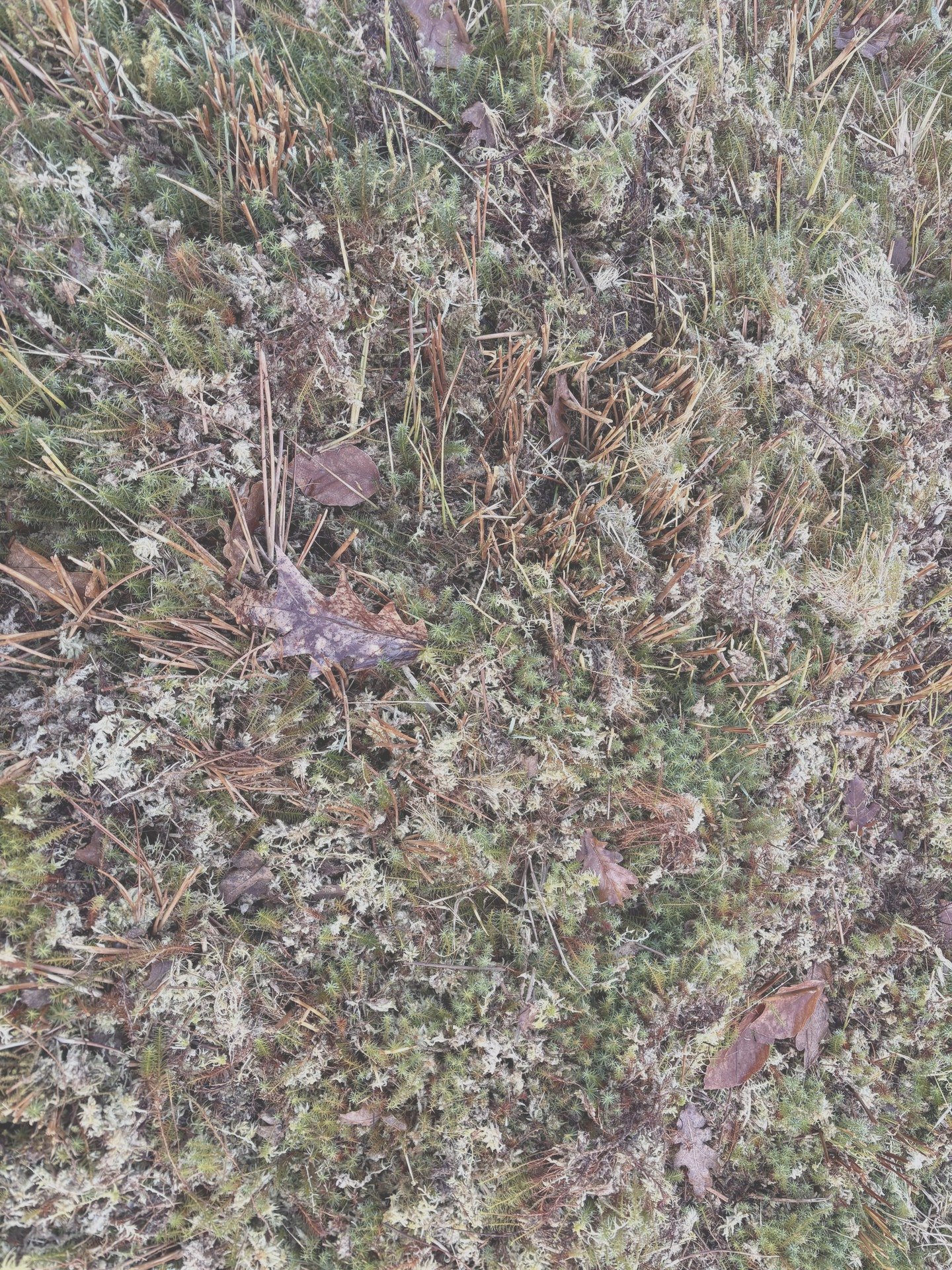 Buiten en natuur