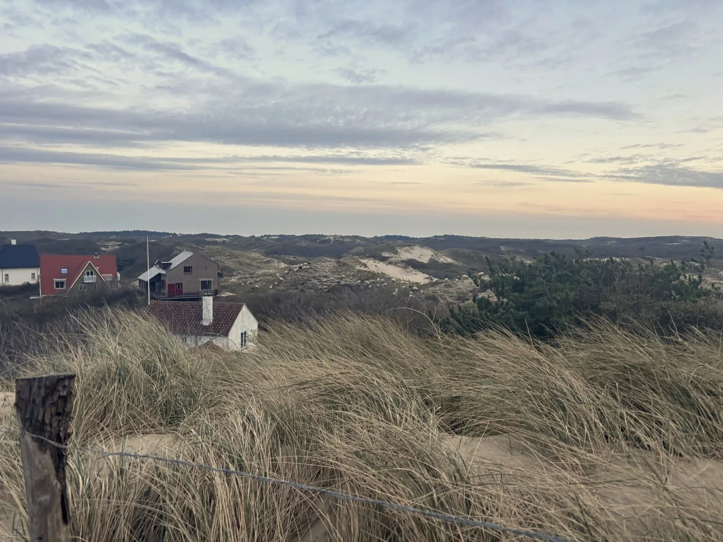 Duinhuisjes en helmgras in warm avondlicht bij de zee