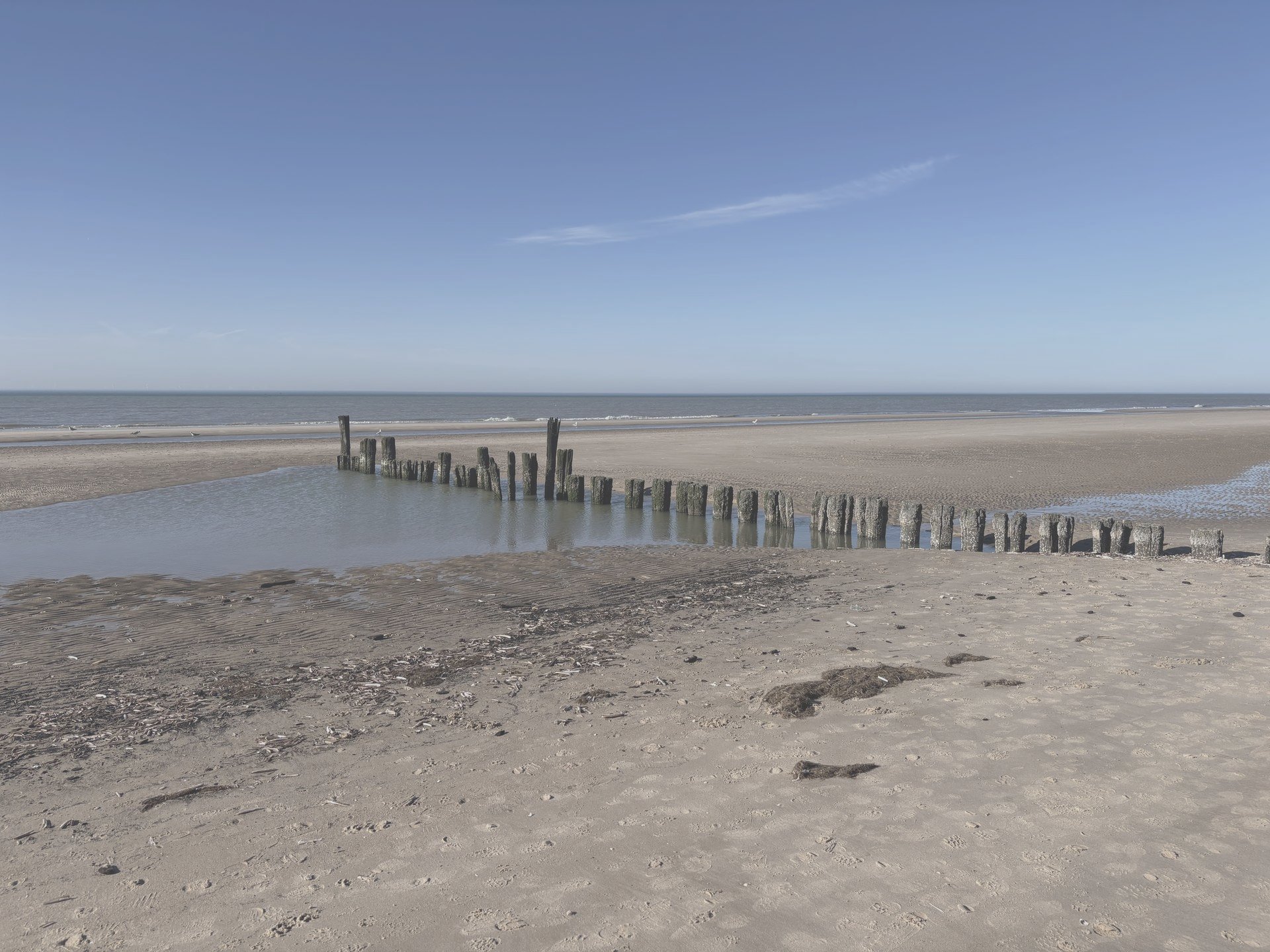 Familie wandelt samen over een duinpad naar het strand bij zonsondergang