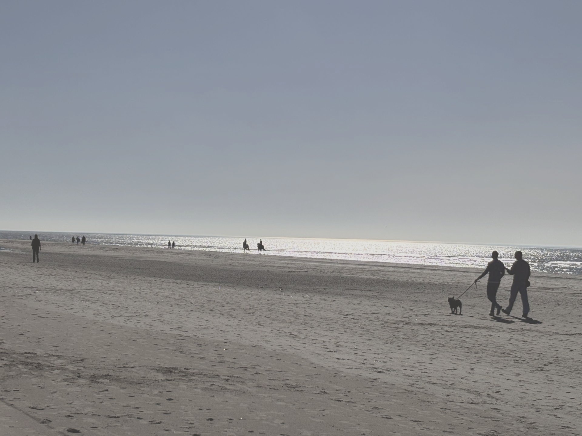 Beeld