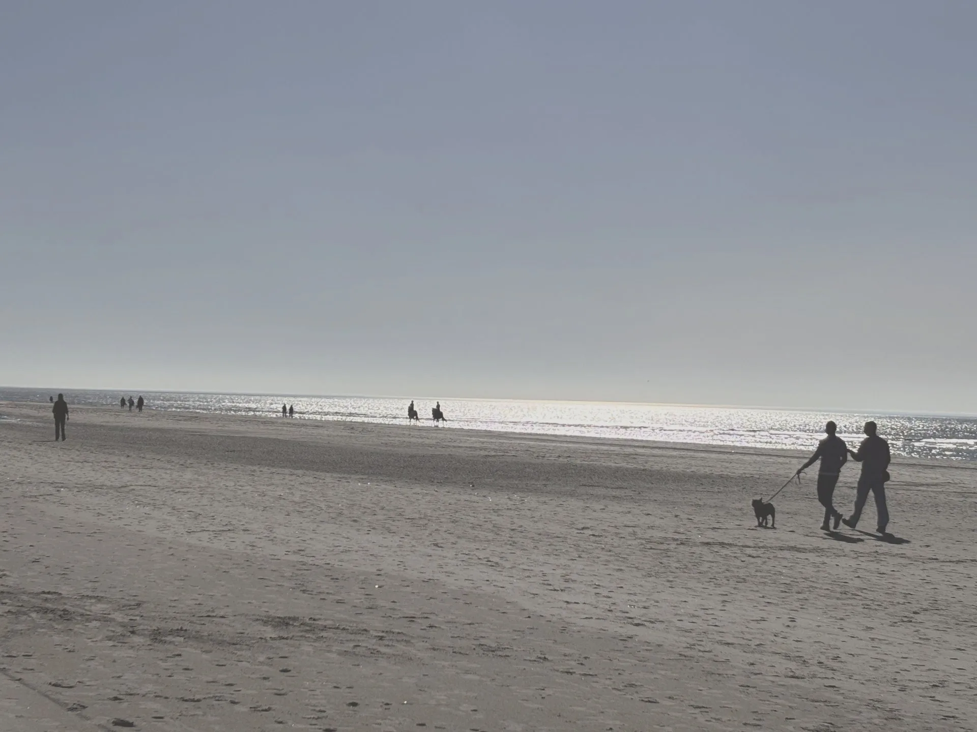 Beeld