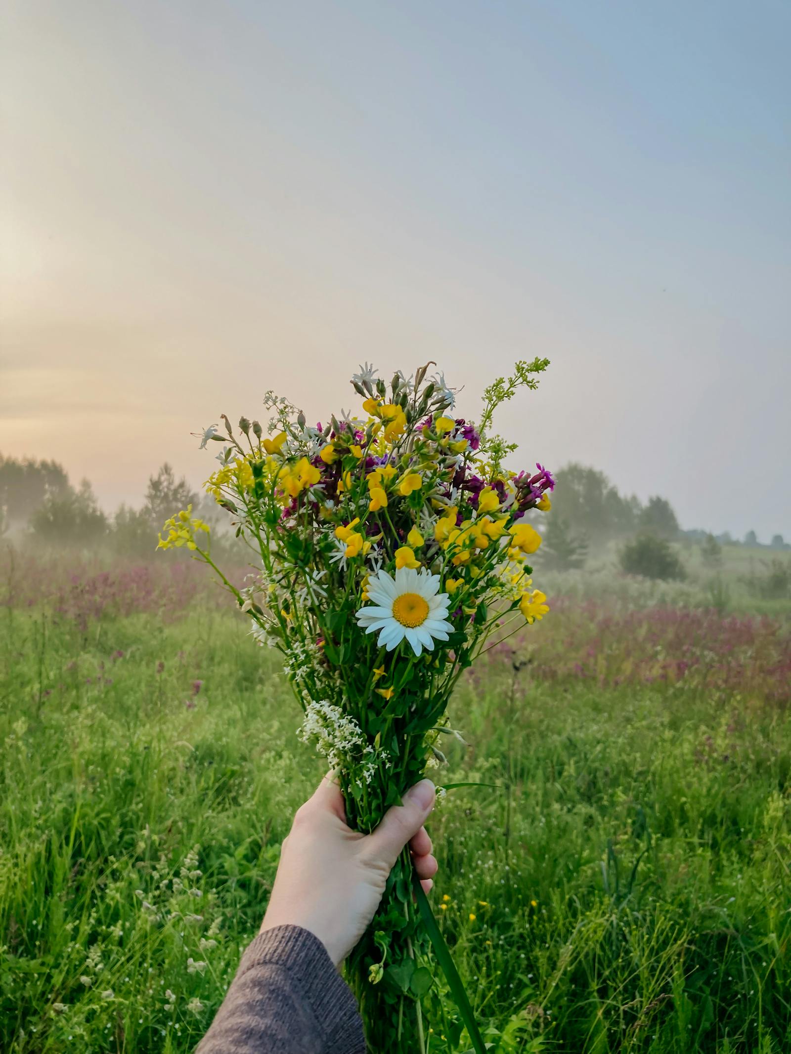Hand met boeket wilde bloemen in een weide